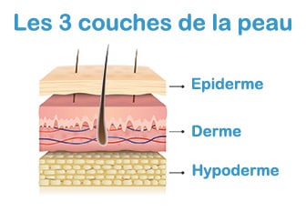 Les 3 couches de la peau